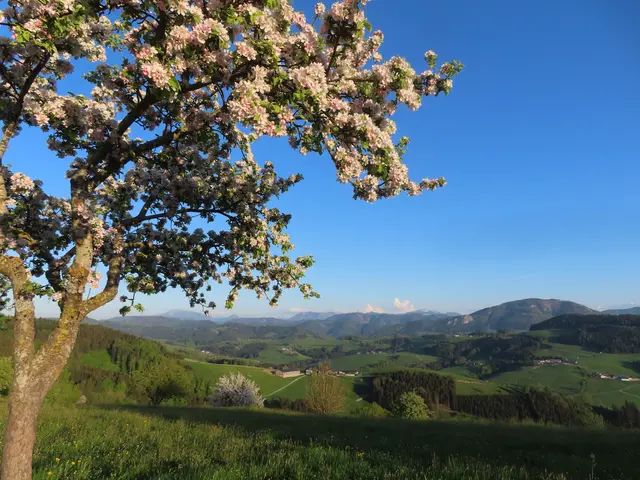 Blick von St.Leonhard/Wald zum Prochenberg bei Ybbsitz: Die Kleinregion liegt auf einer Seehöhe von 330 m bis 1.774 m und erstreckt sich über eine Gesamtfläche von ca. 738 km² | Foto: Rudolf Kößl