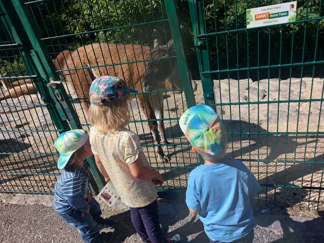 Foto: Simone Stadlbauer