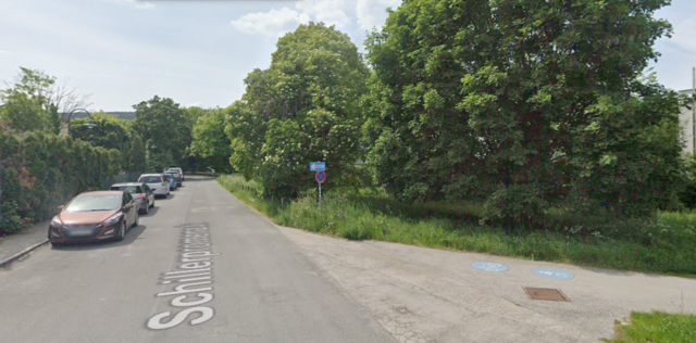 Wie die Polizei berichtet, ereignete sich der Übergriff in der Schillerpromenade im 23. Bezirk. | Foto: Screenshot Google Maps