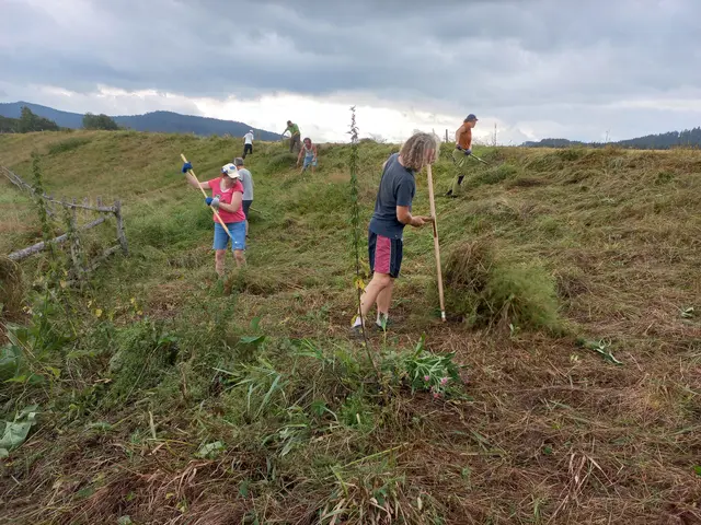 © Julia Kropfberger