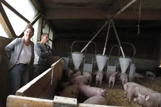 Anja Haider-Wallner mit Christian Prünner in dessen Stall. | Foto: Büro LH-Stv.in Haider-Wallner