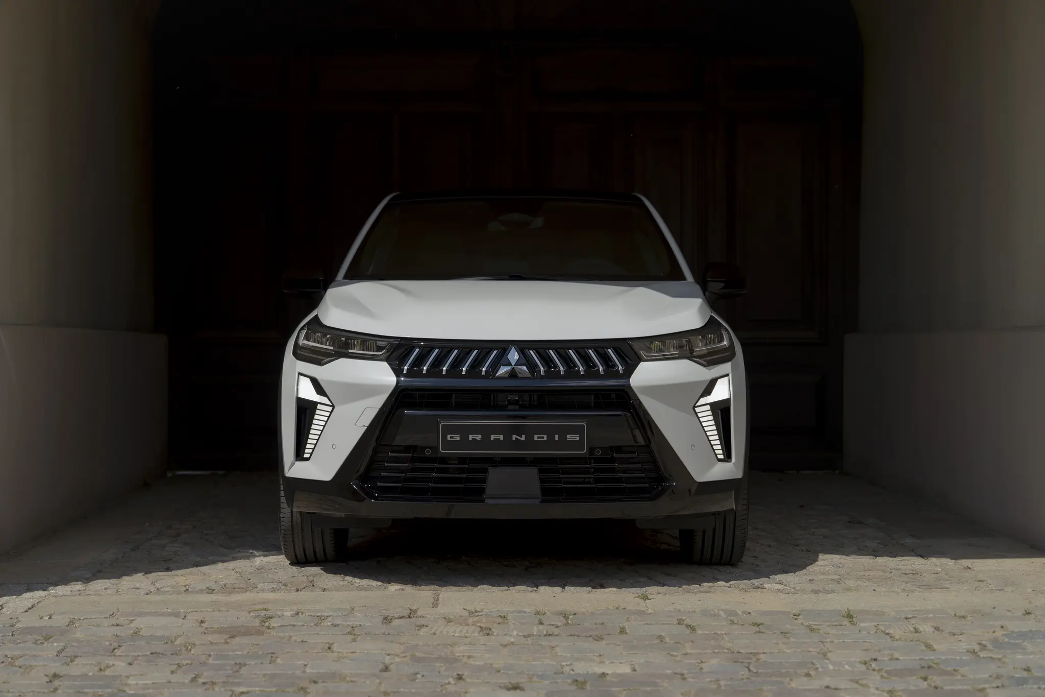Gro-und-beeindruckend-Mitsubishi-Grandis