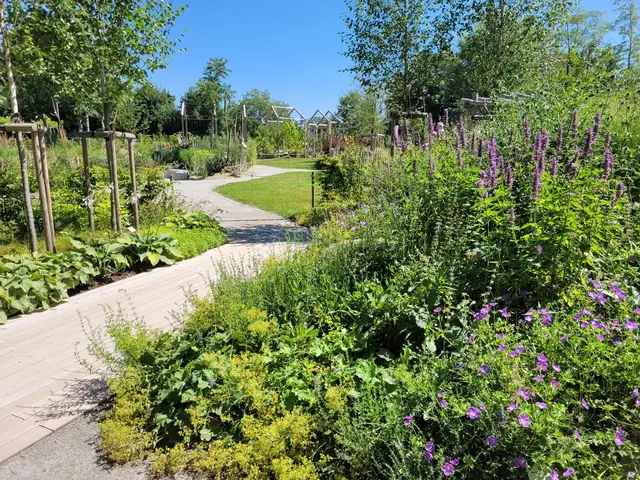 Für die Themengärten im Grüntal werden nach der Gartenschau Interessierte gesucht. | Foto: Landesgartenschau Schärding GmbH