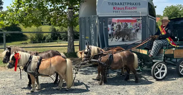 In der Kategorie Vierspänner setzte sich Klaus Fischl mit seinen Ponys Nelson, Janka vom Wiesenhof, Pauli von Königsdorf und Maxi von Königsdorf durch  | Foto: Fischl