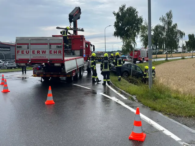 Bergung durch die Feuerwehr | Foto: FF Waidhofen/Thaya