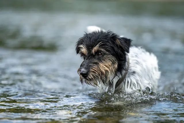 Foto: Smarterpix/thaka11