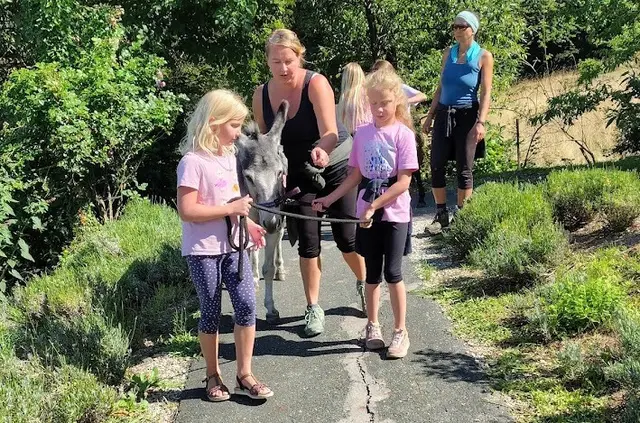Erlebniswanderung mit Esel und Pferd in der Natur.