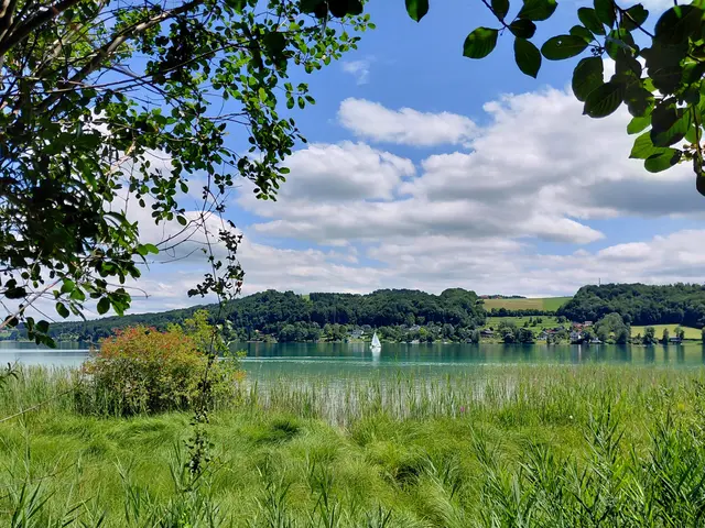 Mattsee  | Foto: H.Bachinger