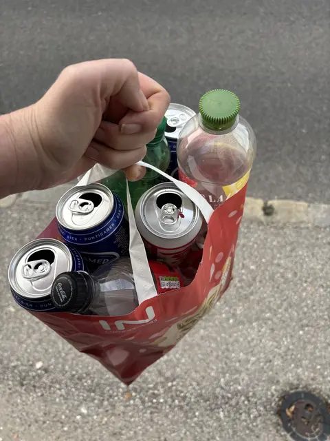Jeden dritten Tag geht Frau S. mit einem gefüllten Sackerl in den Supermarkt. | Foto: sg