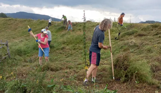 Der Naturschutzbund sucht freiwillige Helfer. | Foto: Julia Kropfberger