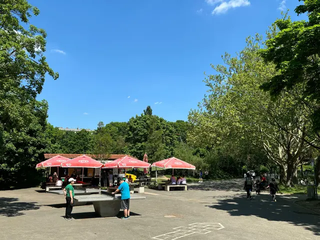 Gastronomie im Kurpark nutzt den großen Parkplatz für Ladetätigkeiten, häufig nachts.  | Foto: Antonio Šećerović/MeinBezirk