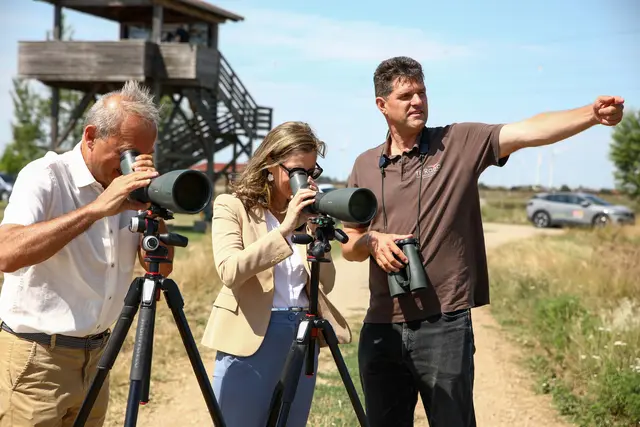 Landeshauptmann-Stellvertreterin Anja Haider-Wallner mit Werner Falb-Meixner, Vizepräsident der Landwirtschaftskammer Burgenland und Obmann der IG Europaschutzgebiet Parndorfer Platte – Heideboden, und Rainer Raab, Mitteleuropäischer Großtrappenkoordinator im Bund. | Foto: LMS Burgenland