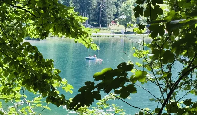 Foto: Kogler