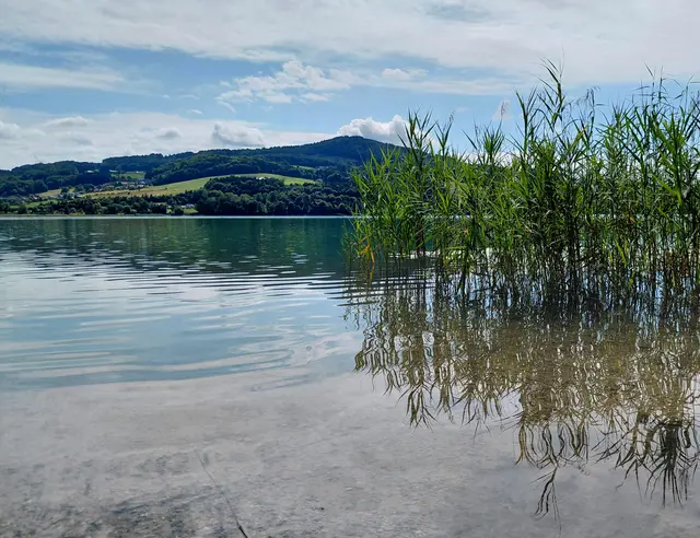 Obertrumer See  | Foto: H.Bachinger