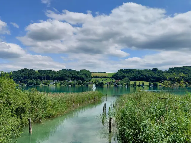 Mattsee  | Foto: H.Bachinger