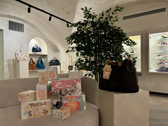 Im Store "YourFault" in Kärnten kann man sich die Labubus kaufen. | Foto: YourFault