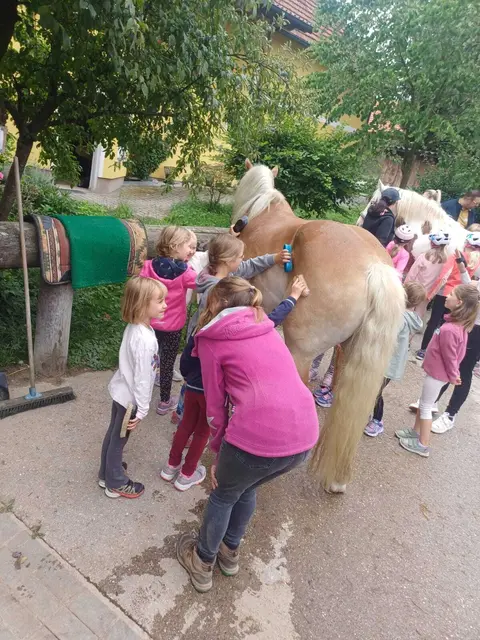 Foto: FPÖ Prambachkirchen