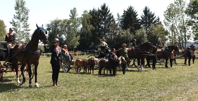 Der Reit- und Fahrverein (RFV) Poppendorf konnte sich über mehrere Titelfreuen.  | Foto: Josef Szot