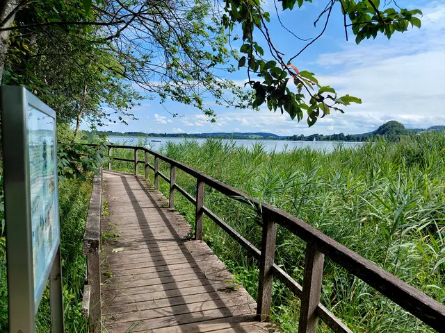 Promenadenseeweg | Foto: H.Bachinger