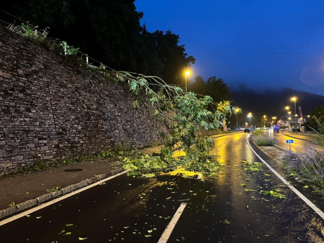 Ein umgestürzter Baum forderte heute Morgen die Einsatzkräfte in Kapfenberg. | Foto: FF Kapfenberg Diemlach
