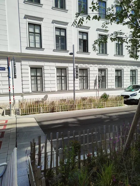 Wenige Wochen später sind die Bäume verschwunden. | Foto: zVg