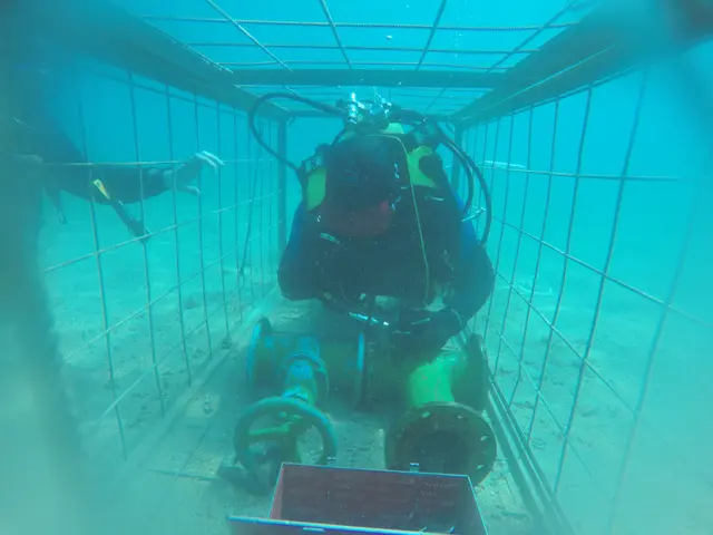 Feuerwehrmitglieder im Tauchdienst werden in Spezialfällen gebraucht. Die Ausbildung dazu beenden gerade mal 10 Prozent. | Foto: Sonderdienst Tauchdienst NÖLFV
