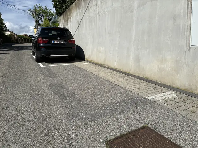 Ein Parkplatz wurde eingezeichnet und wieder entfernt.  | Foto: Patricia Hillinger/MeinBezirk
