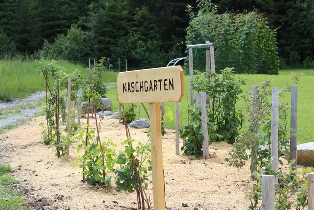 Sonnberg im Mühlkreis | Foto: Gemeinde Sonnberg