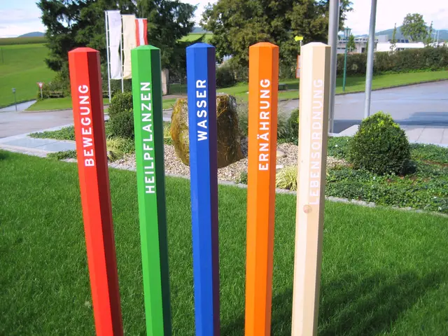 Der größte Kneippgarten Österreichs befindet sich beim Curhaus Bad Kreuzen. | Foto: CURHAUS Bad Kreuzen