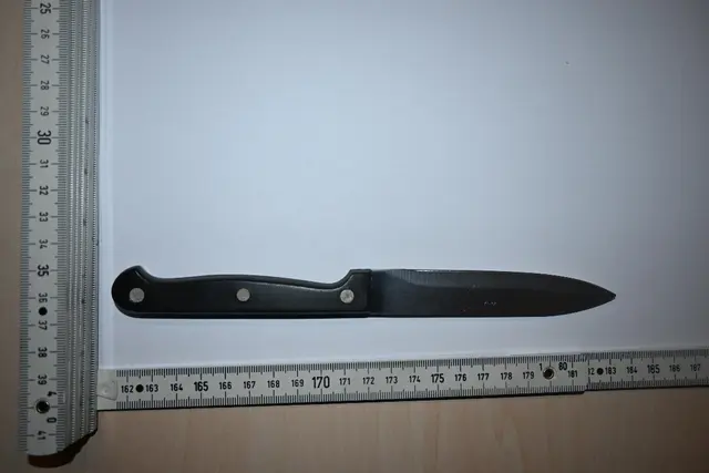 Mit diesem Messer soll ein Passant auf offener Straße bedroht worden sein. | Foto: LPD Wien