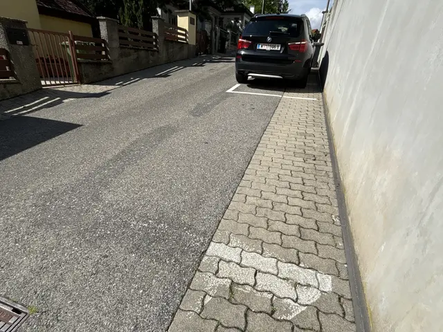 Foto: Patricia Hillinger/MeinBezirk