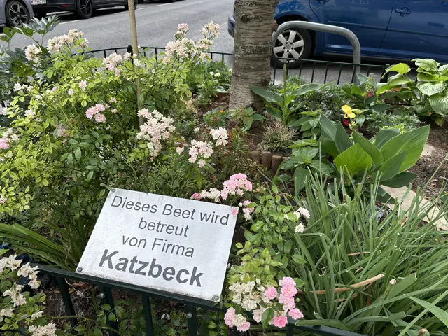 MeinBezirk fiel die mit viel Liebe gestaltete Baumscheibe bei einem Rundgang im Bezirk auf. | Foto: Patricia Hillinger/MeinBezirk