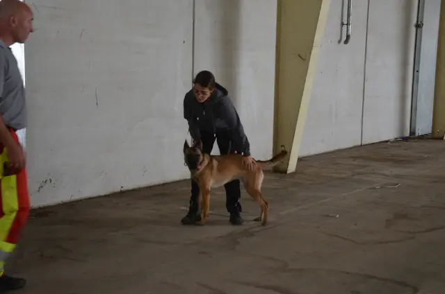 Foto: Elisabeth Peinsipp