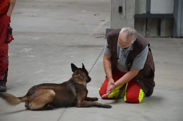 Foto: Elisabeth Peinsipp