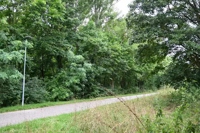 Rad- und Wanderweg neben der Schwechat