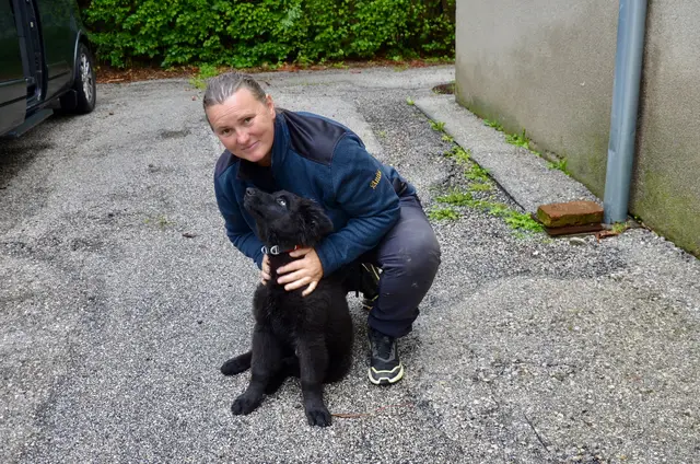 Schäferhund Ares ist drei Monat alt, und hat richtig viel Spaß beim Suchen mit Frauchen Anita. | Foto: Elisabeth Peinsipp