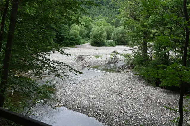 Schotterbänke