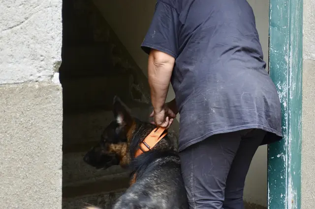 Witterungssuche im alten Gebäude der Dinhobelstraße. | Foto: Elisabeth Peinsipp