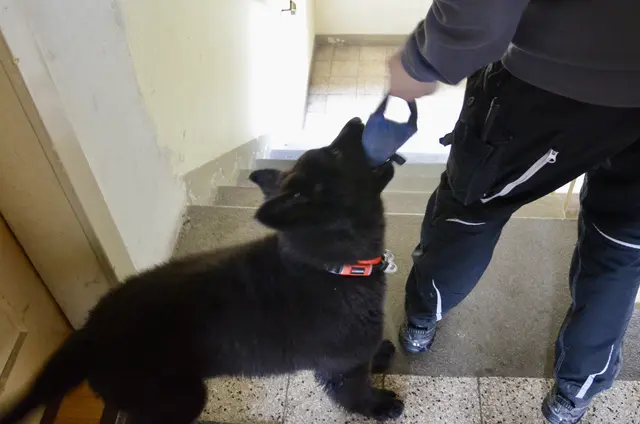 Foto: Elisabeth Peinsipp