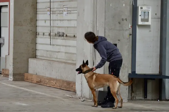 Foto: Elisabeth Peinsipp