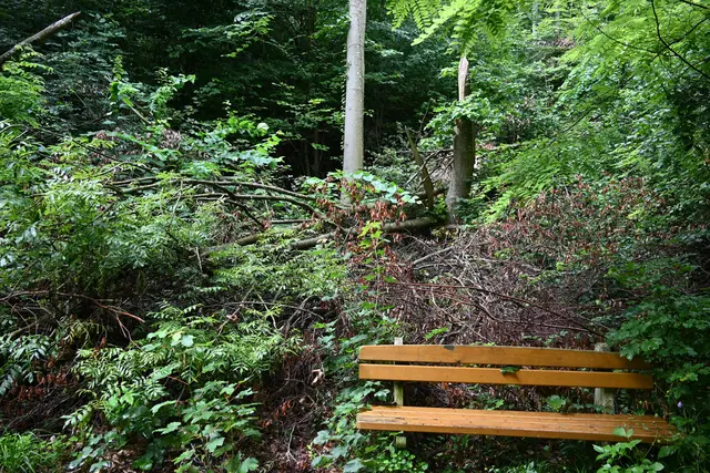 Knapp vorbei am Bankerl