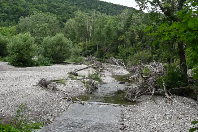 Noch Reste des Hochwassers voriges Jahr und geänderter Flusslauf