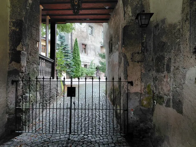 Foto: H.Bachinger