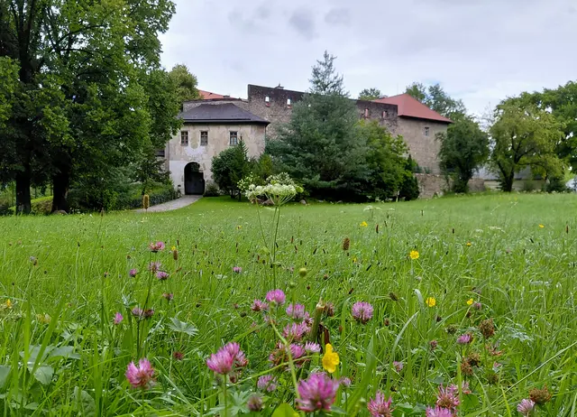 Burg Gruttenstein | Foto: H.Bachinger