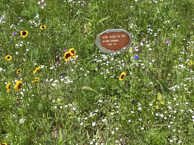 Gemeinsam mit dem Naturpark Landseer Berge setzt der Verein auf Artenvielfalt und Insektenschutz. | Foto: Susanne Pogats