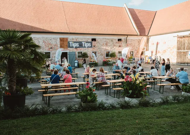 Foto: MeinBezirk Linz-Land/Lorenz