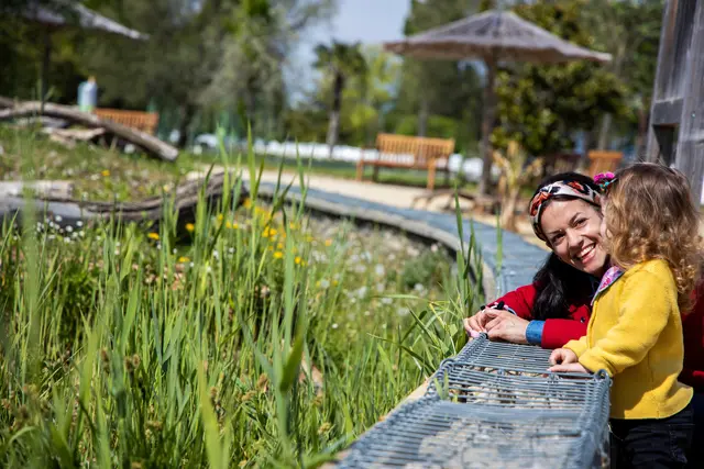 Ein Erhalt der Biodiversität steht im neuesten Förderaufruf im Fokus. (Symbolbild) | Foto: Wiener Stadtgärten/Matern