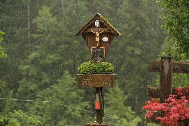 Foto: Fotos:  Hannes Reichenpfader und Emma Jelenz