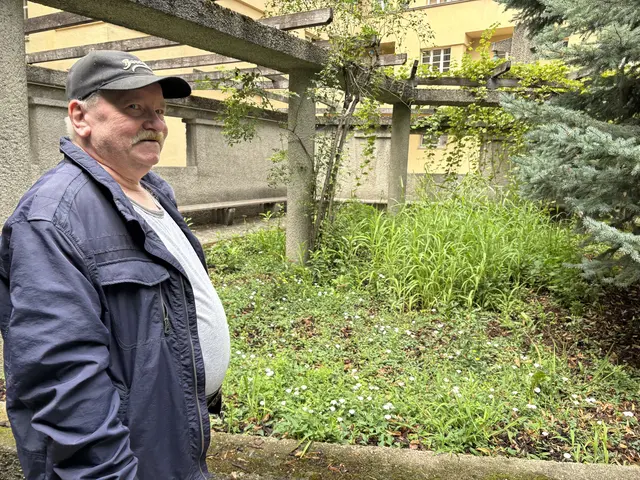 Die Tulpen, die Ernst Grohser seit etwa 1990 eingepflanzt hatte, wurden gerodet.  | Foto: Michael Marbacher/MeinBezirk