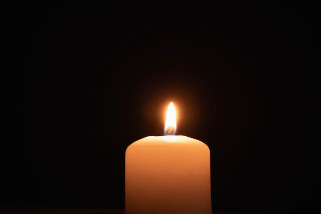 Der 60-Jährige stürzte beim Schwammerlsuchen. (Symbolfoto) | Foto: stock.adobe.com/at/Jan Kravtsov